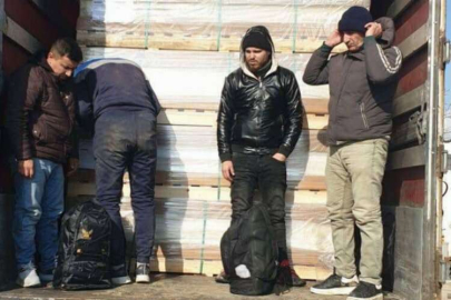 Edirne'de 232  kaçak göçmen yakalandı