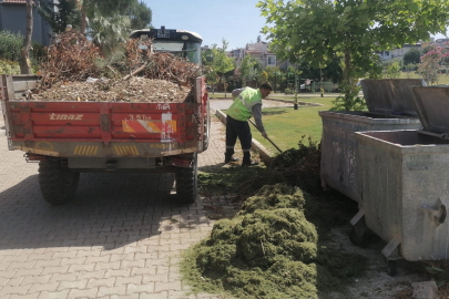 İzmir Güzelbahçe'de yaz temizliği