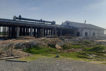 İzmit'ten sokak hayvanlarına modern yaşam alanı