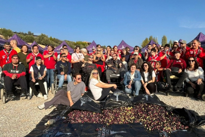 Engelli yurttaşlar zeytin hasadında buluştu