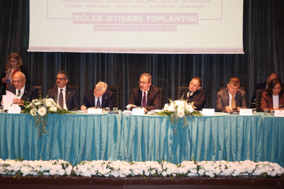 TBMM Komisyonu engelli bireylerin sorunlarını Kahramanmaraş'ta konuştu