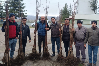 Bilecik Pazaryeri’nde 450 meyve fidanı çiftçilerle buluştu