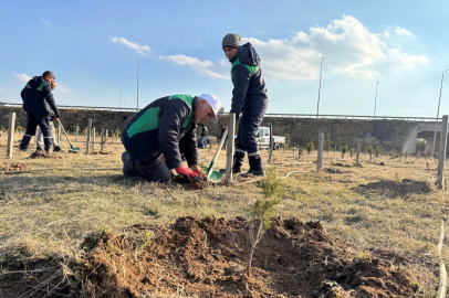 Kayseri Büyükşehir'den kentin yeşil alan varlığına destek