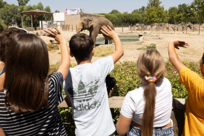 İzmir Doğal Yaşam Parkı’nın fillerine hayat kurtaran ayak bakımı