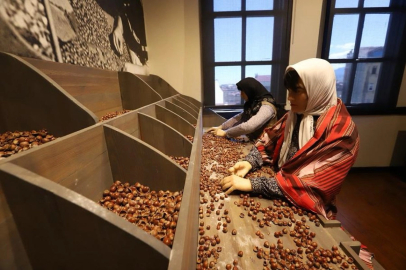 Türkiye’nin ilk fındık müzesi yoğun ilgi görüyor