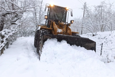 Ordu’da karla mücadele seferberliği!