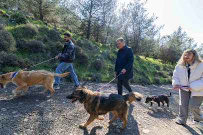 İzmir Büyükşehir'den sahipsiz hayvanlar için çağrı